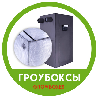 Гроубоксы Гроубоксы