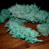 Семена конопли недорого Auto Sweet Trainwreck feminised Ganja Seeds