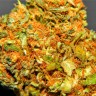 Качественные семена конопли Marmalate feminised Ganja Seeds