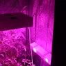 Гроубокс в сборе Джин 1400х1400х2000 + Гагарин 4 заказать