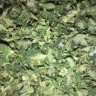 Семена конопли Cheese Berries feminised Ganja Live Seeds