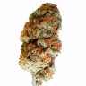 купить семена конопли недорого Bubble Gum feminised