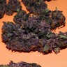заказать семена конопли курьером Auto Bloody Skunk feminised