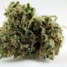Семена конопли Grapefruit Diesel feminised Ganja Seeds