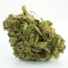 семена конопли f1 в оригинальной упаковке White Russian feminised Ganja Live Seeds