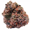 Медицинские сорта конопли Purple OG