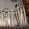 споры псилоцибиновый гриб законность Panaeolus Cyanescens Wild Coast African
