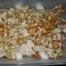купить споры псилоцибиновых грибов Golden Teacher в оригинальных упаковках