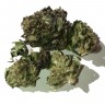 купить семена конопли феминизированные Blue Himalaya feminised