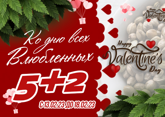 День Святого Валентина – «5+2» День Святого Валентина – «5+2»