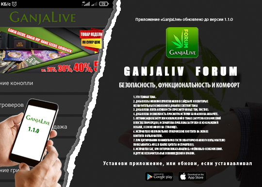 Новая версия приложения GanjaLive уже доступна! Новая версия приложения GanjaLive уже доступна!
